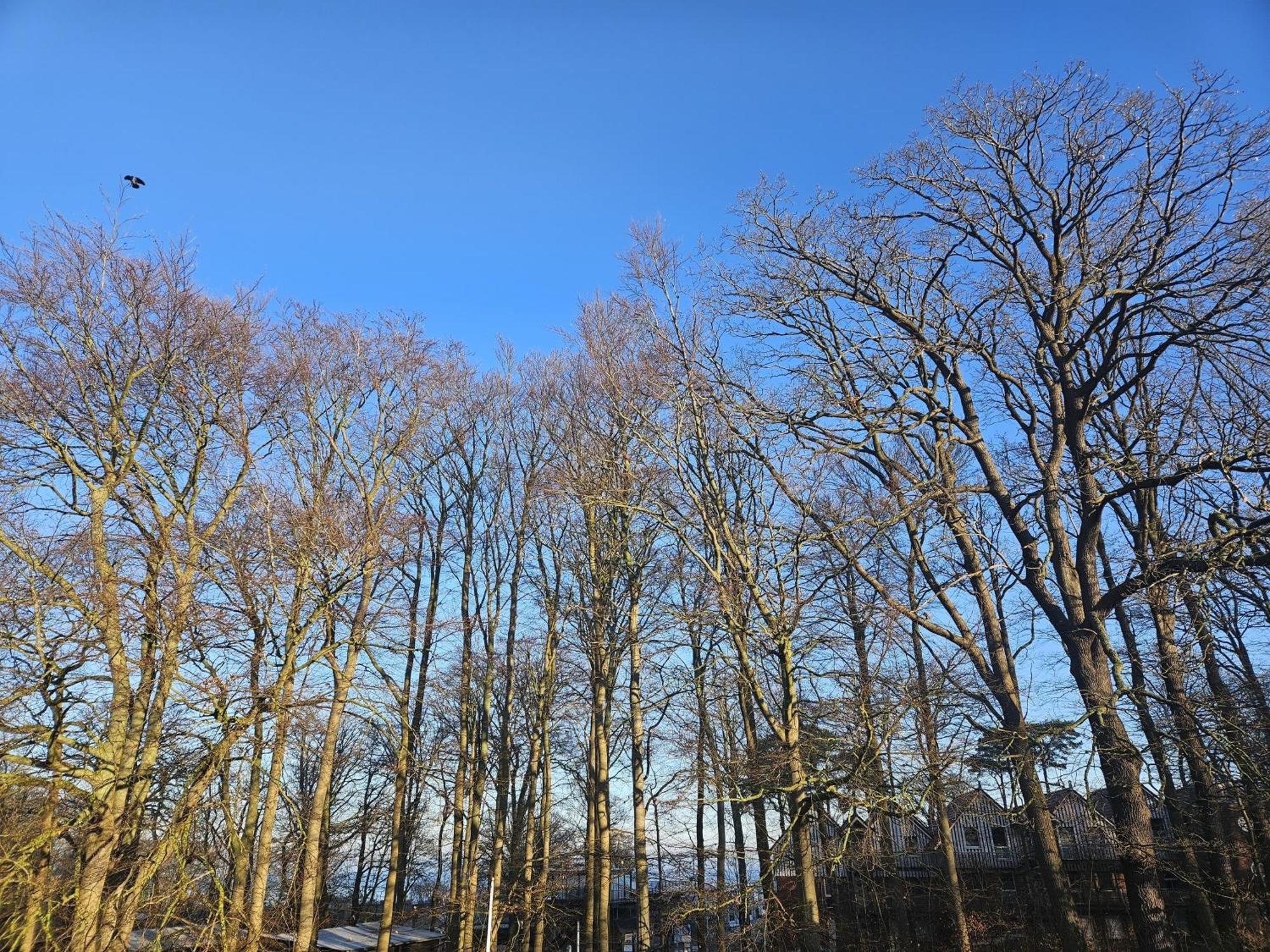 Duenenmeisterei Whg "Zitrone" Koserow Esterno foto